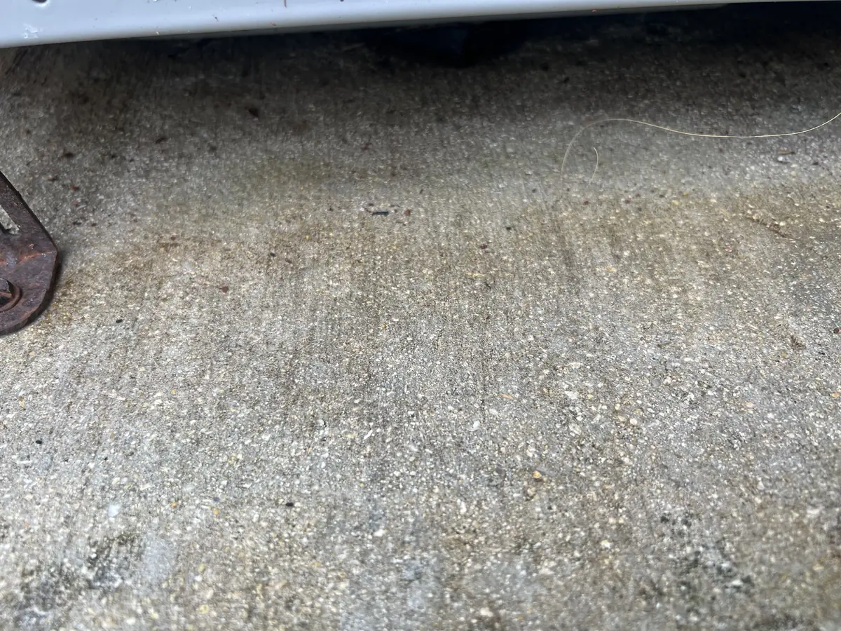 Exterior surface after VertKleen LAM3, moss cleared
