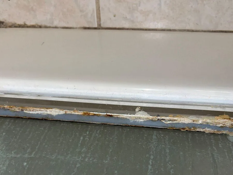 Tiled wet area cleared of scale without harsh acid