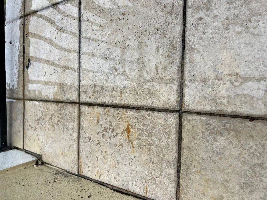 Grime and biological growth in tile grout before cleaning